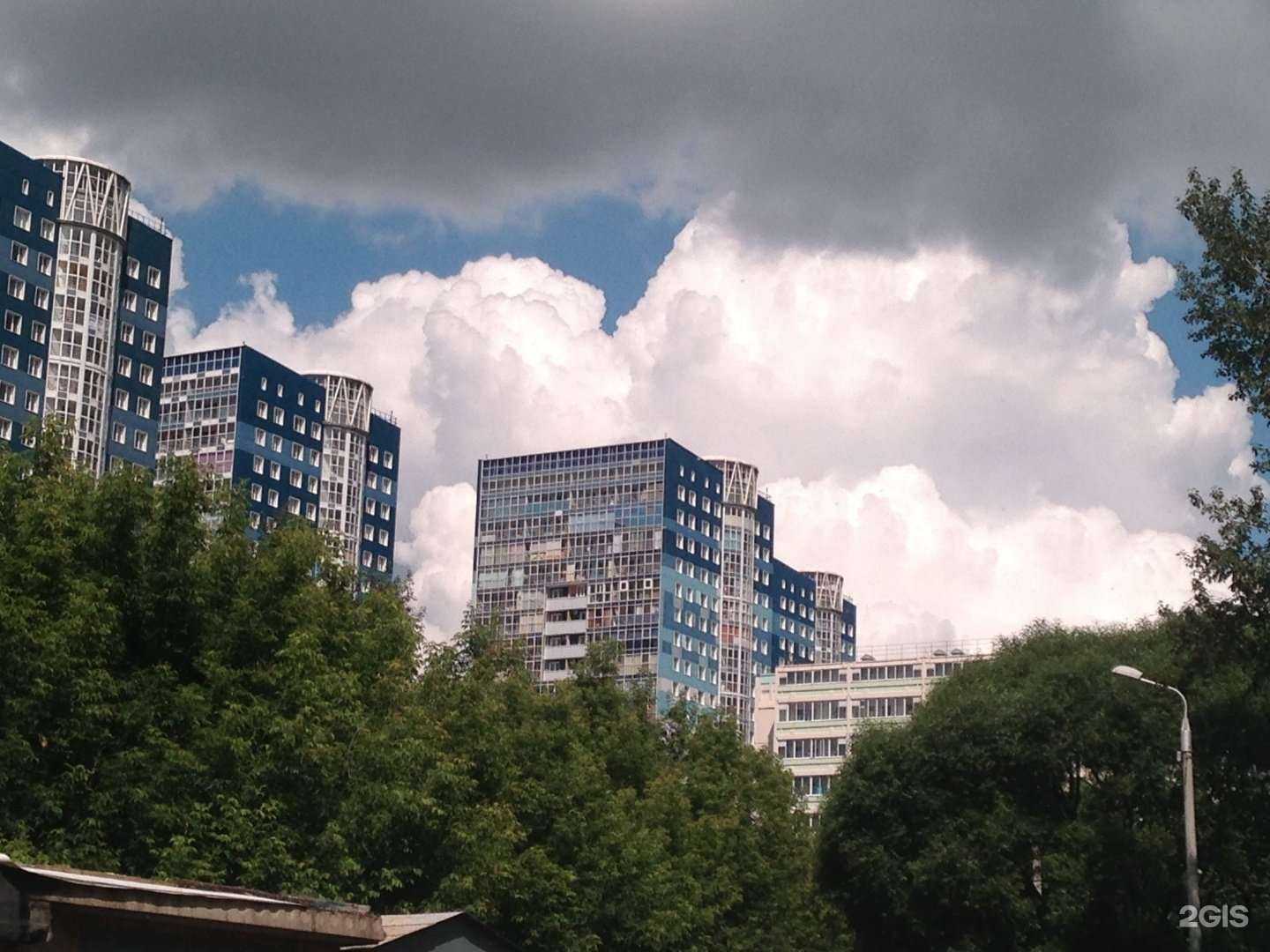 Отзывы на компанию Мой зверь в Перми c фото - фотография 2 из 2