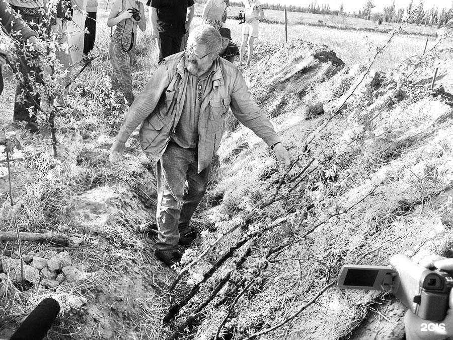 Отзывы на компанию Дон Баллон в Рязани c фото