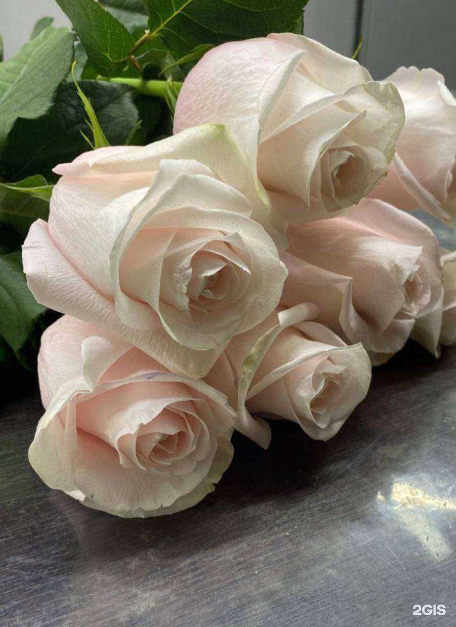 Отзывы на компанию Твой букет в г. Нижний Новгород c фото