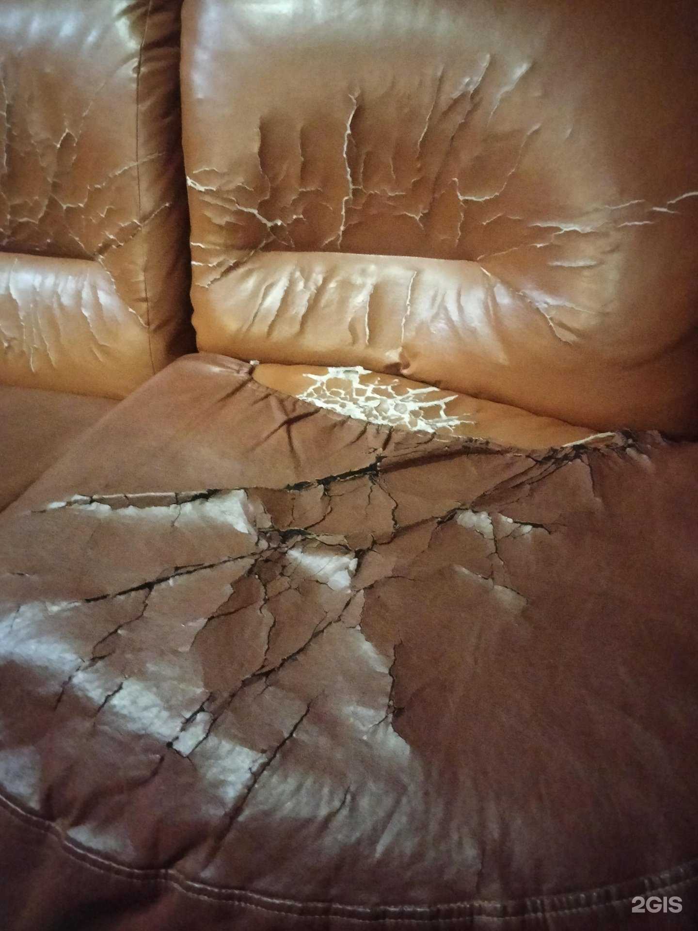 Отзывы на компанию Веселый Роджер в г. Новосибирск c фото