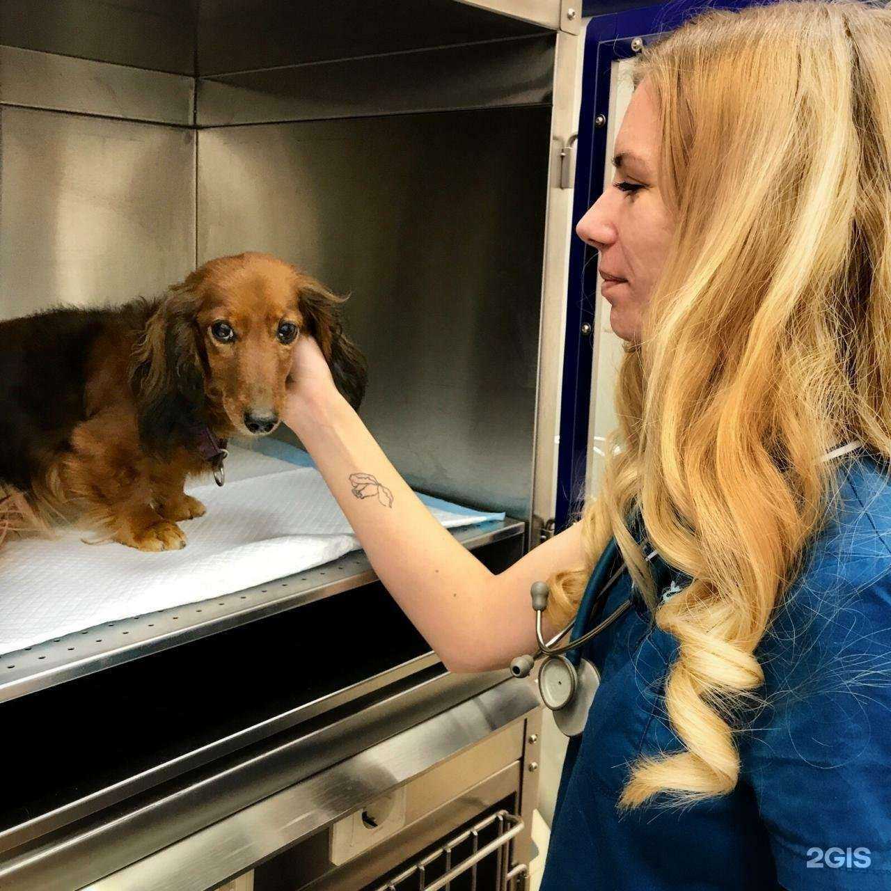 Отзывы на компанию Ветрассвет в Жуковском c фото