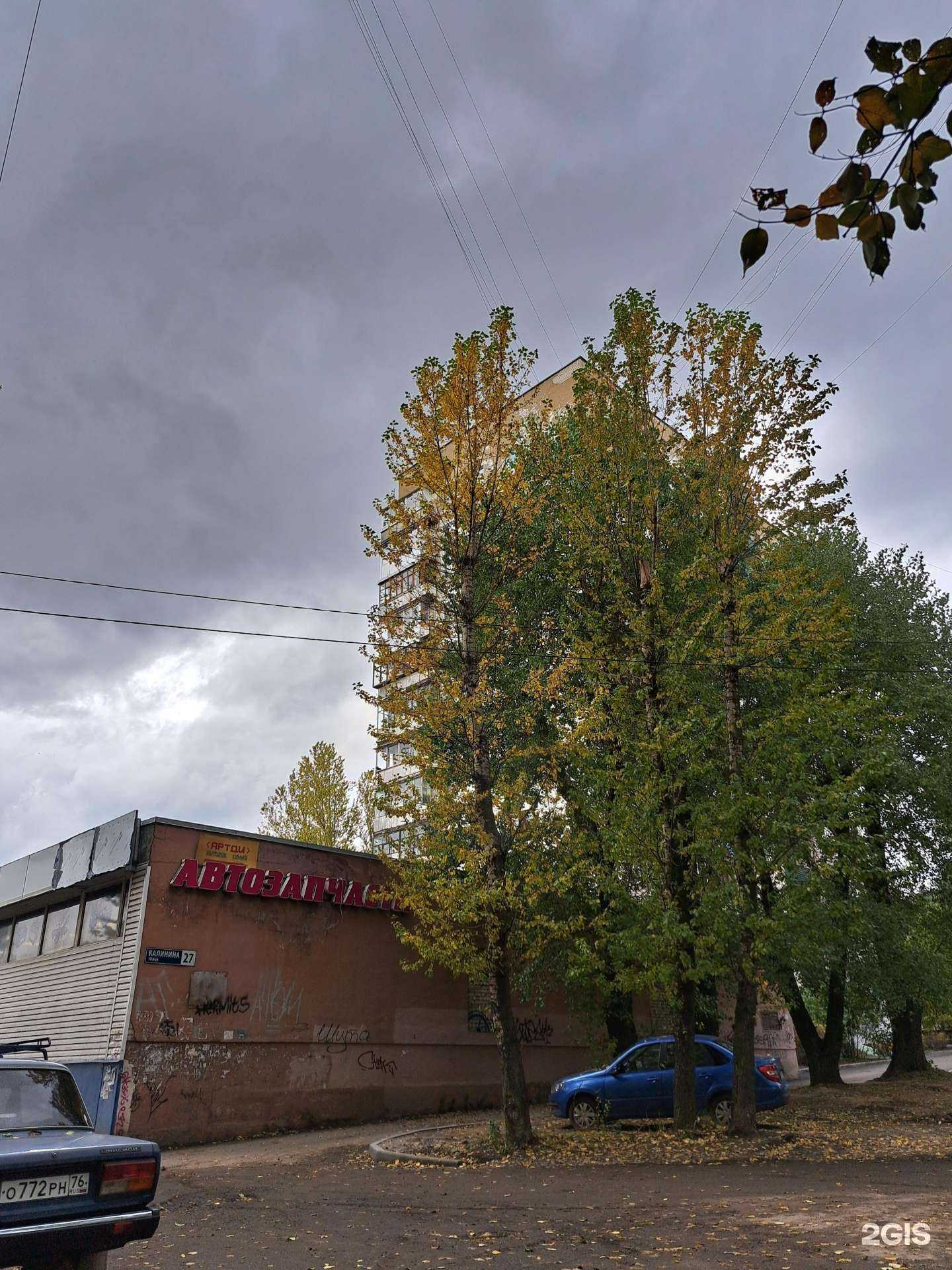 Отзывы на компанию Дунай в Ярославле c фото - фотография 2 из 2