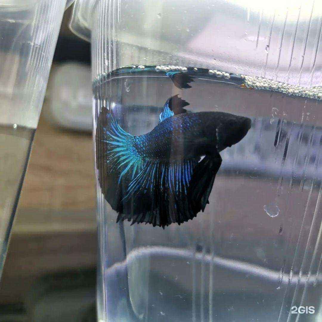 Отзывы на компанию Природа в г. Армавир c фото