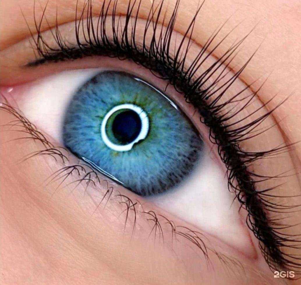 Отзывы на компанию Lab Lash and Brow в Хабаровске c фото