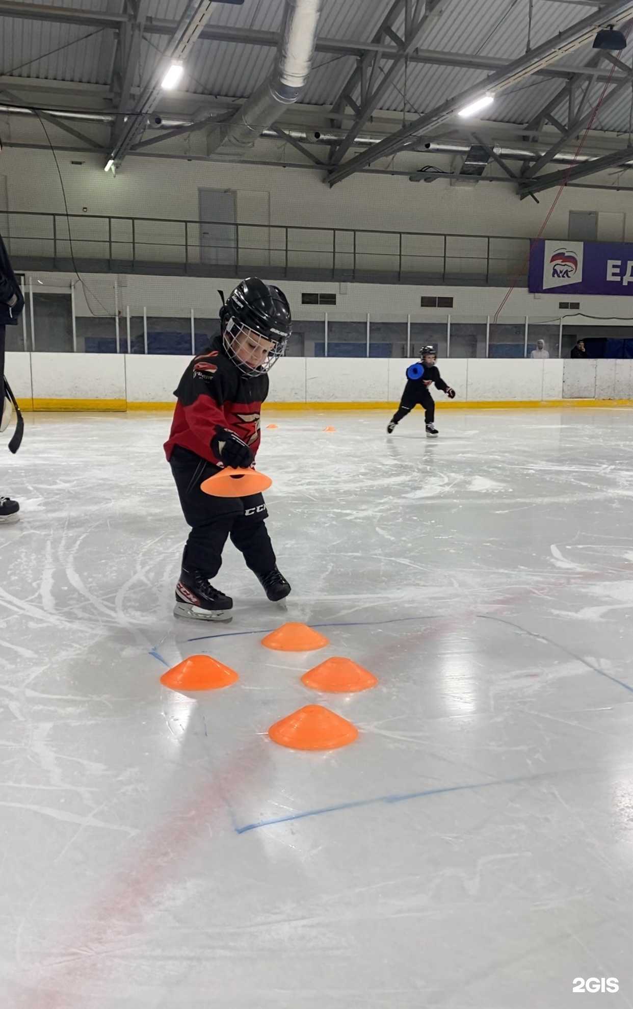 Отзывы на компанию Ледовая арена им. Ирины Родниной в Омске c фото