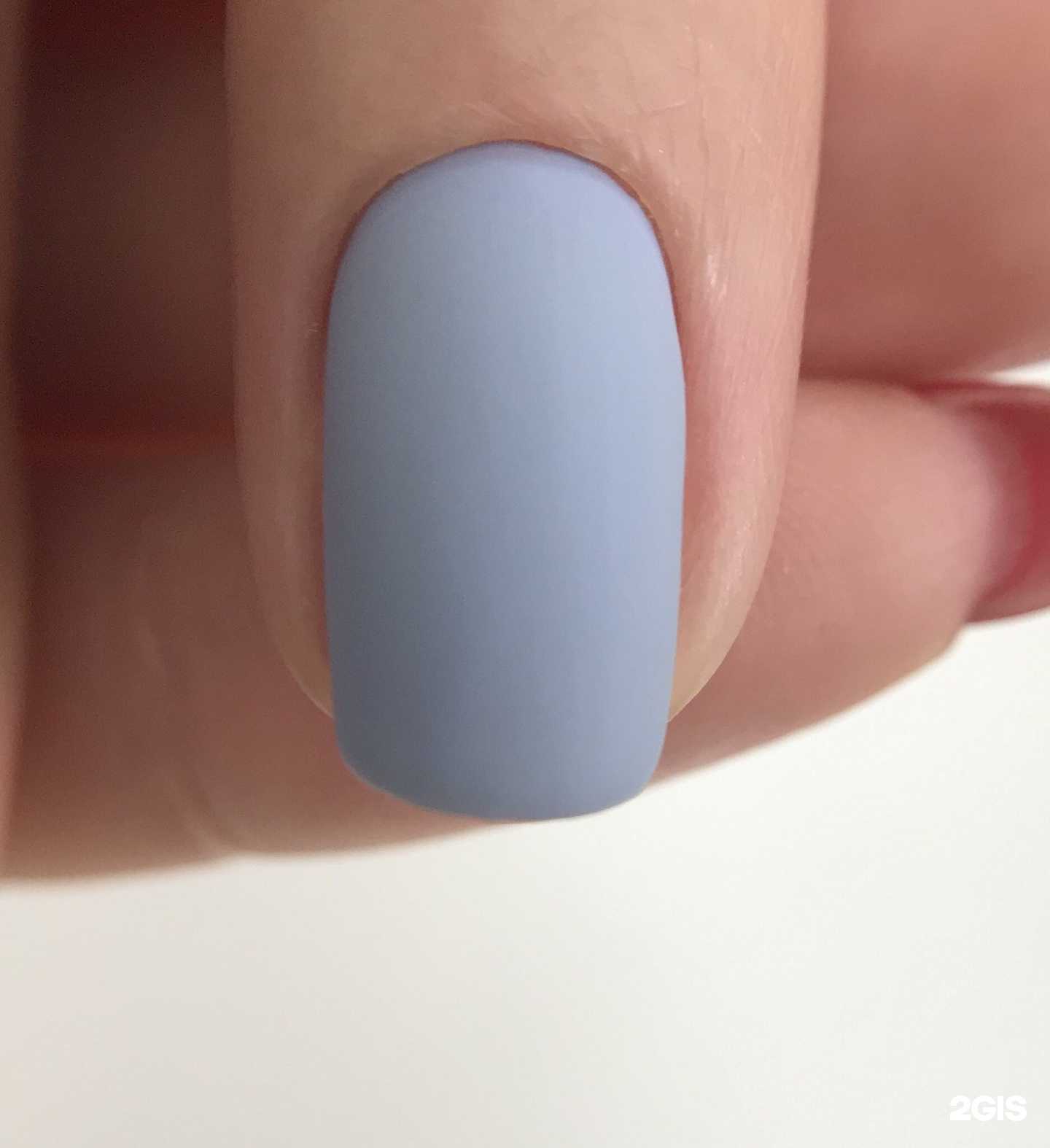 Отзывы на компанию The french в Новосибирске c фото