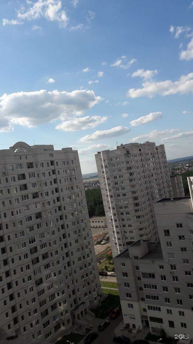 Отзывы на компанию Nuga в Воронеже c фото - фотография 2 из 2