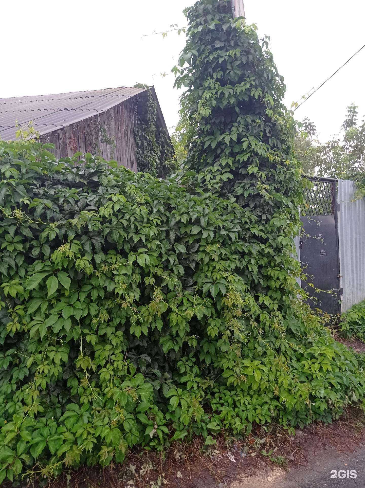 Отзывы на компанию F.Pottery в г. Липецк c фото