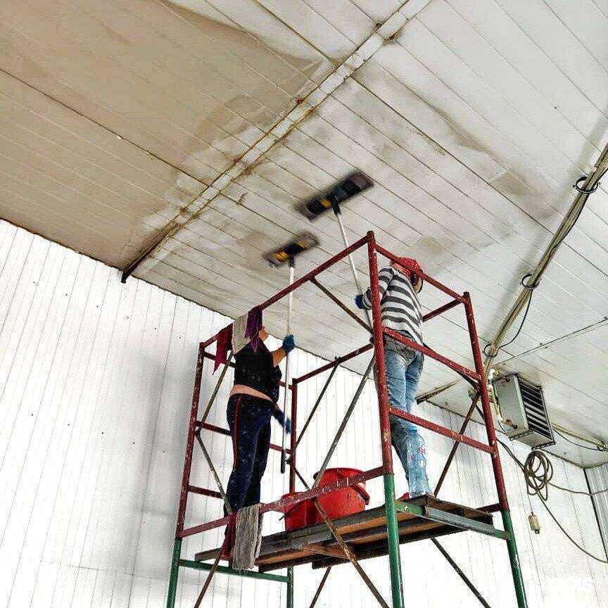 Отзывы на компанию ЭкоЛайн в Барнауле c фото