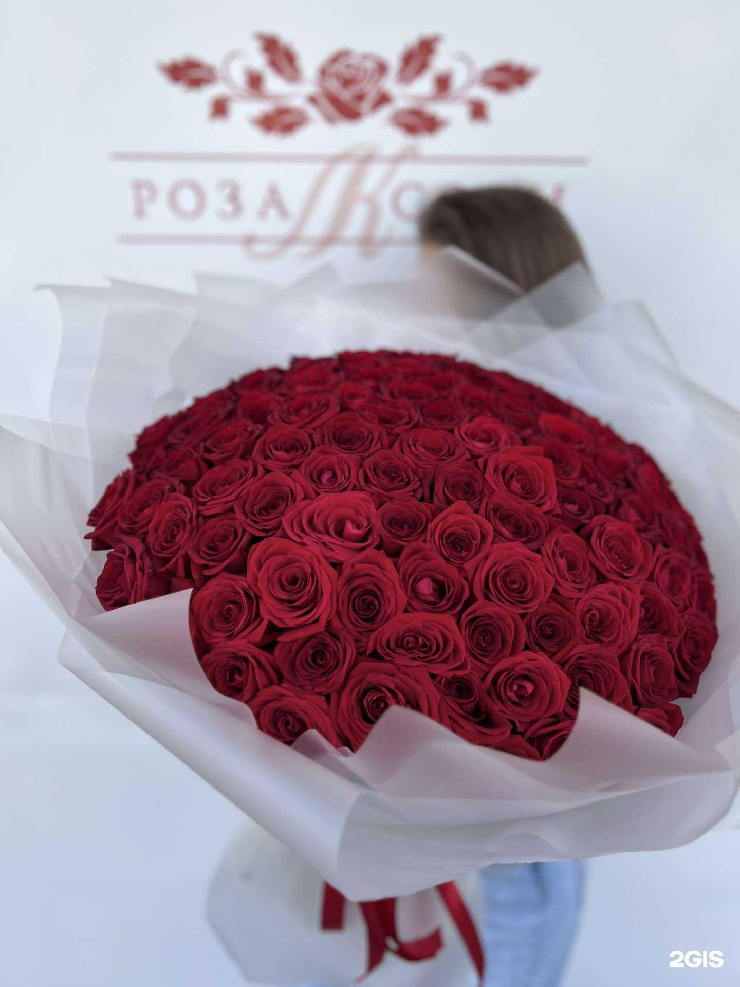 Отзывы на компанию Роза Сочи в Сочи c фото