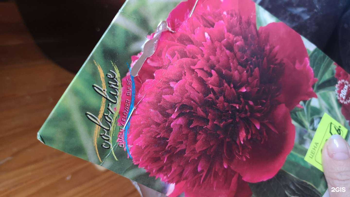 Отзывы на компанию Наш сад в Липецке c фото