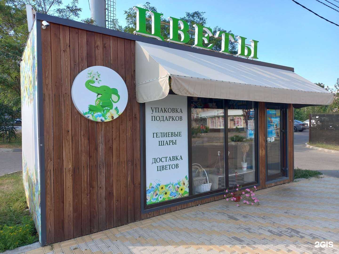 Отзывы на компанию Зеленый слон в Краснодаре c фото