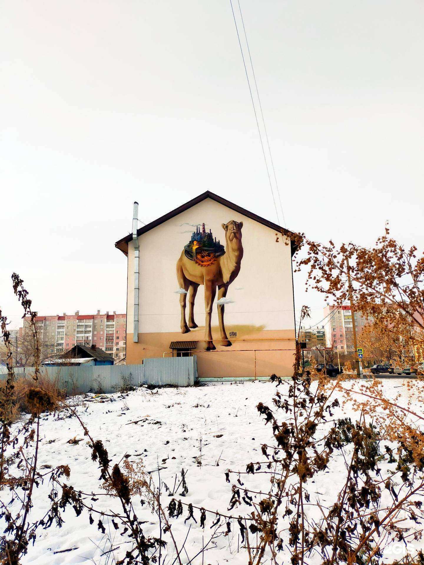 Отзывы на компанию Золотой сокол в Челябинске c фото - фотография 2 из 2