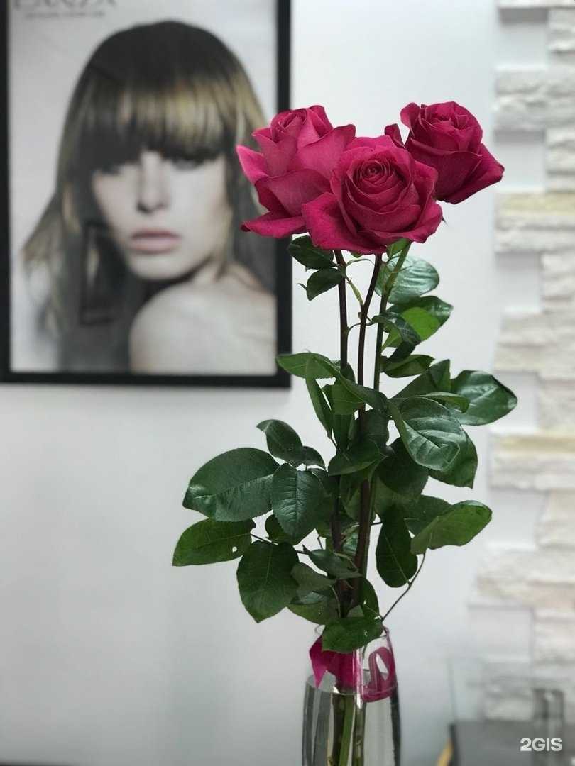 Отзывы на компанию G.A.S в Самаре c фото