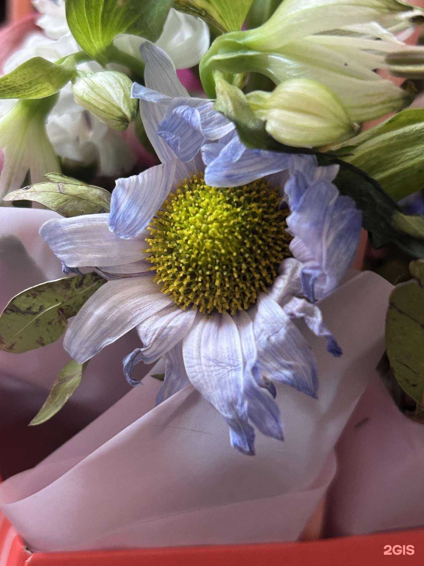 Отзывы на компанию Магазин цветов в Самаре c фото