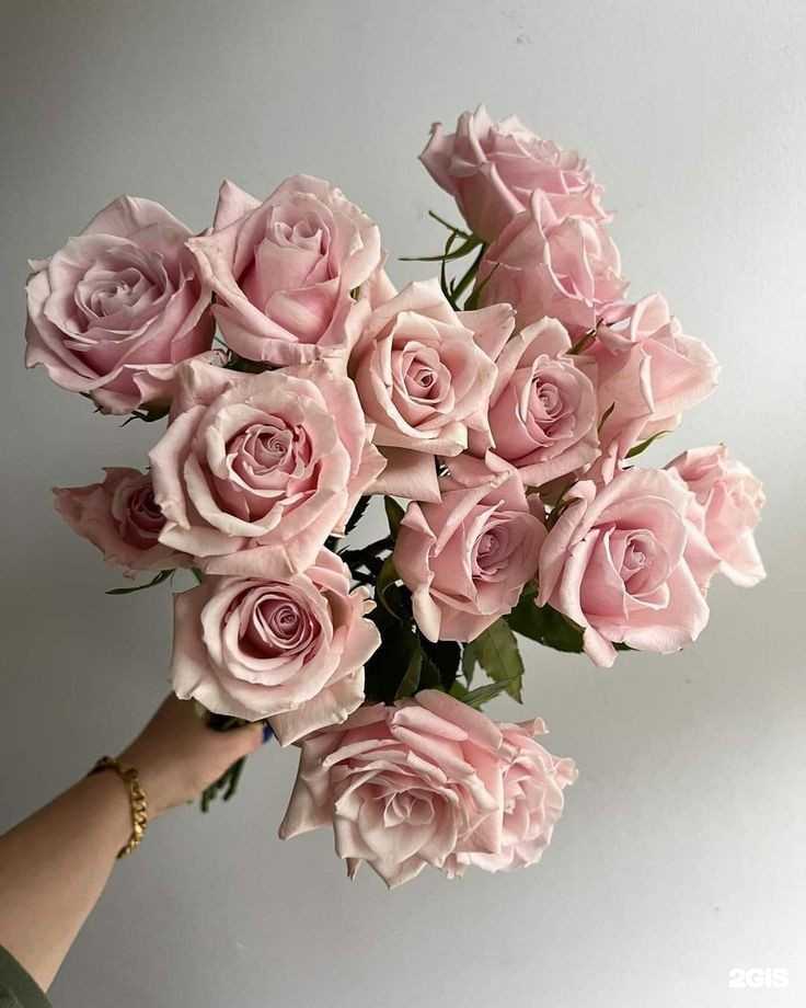 Отзывы на компанию Декор в Шелехове c фото