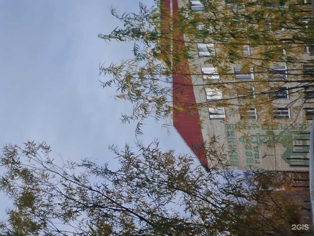 Отзывы на компанию Тигры Сибири в г. Нижневартовск c фото