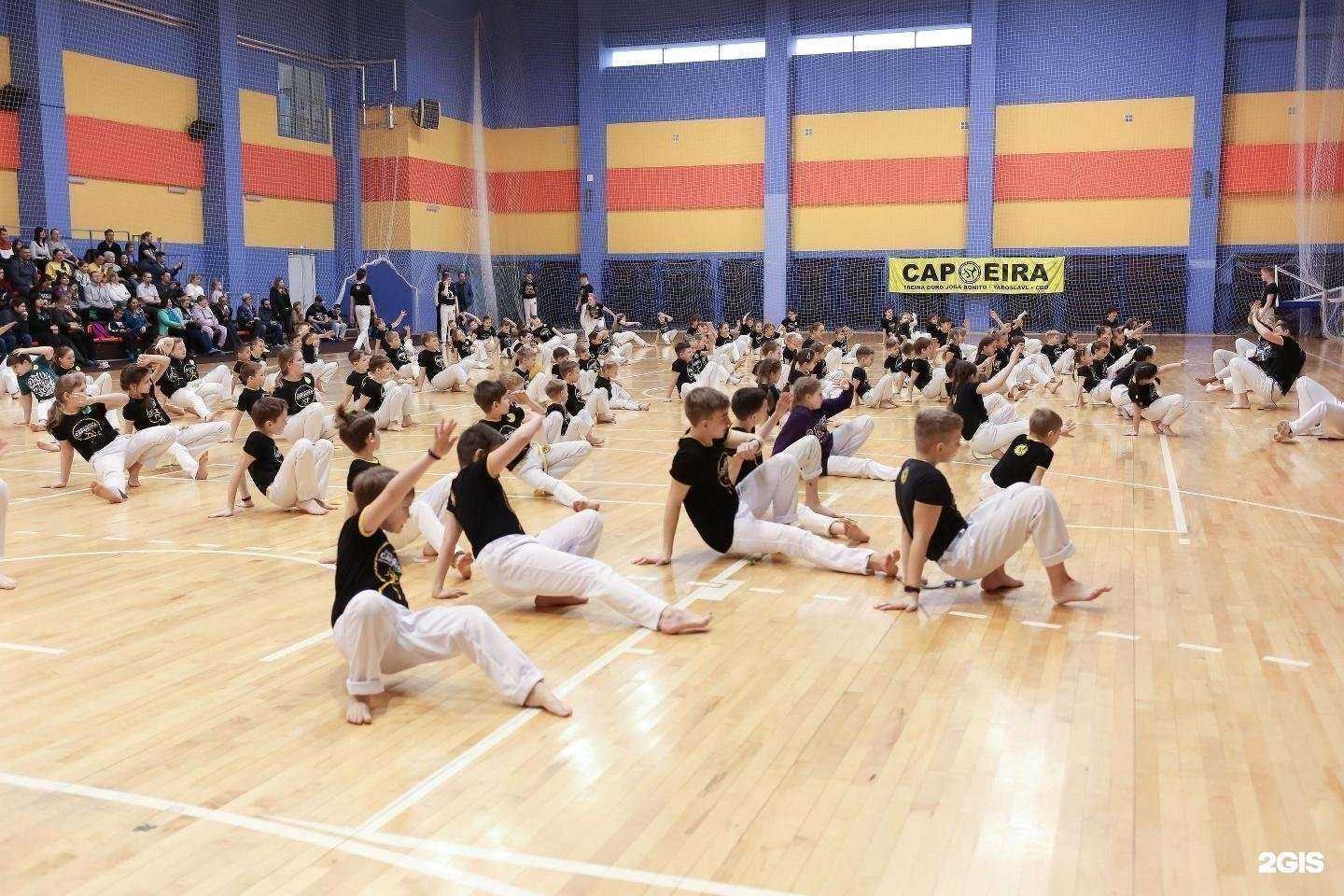 Отзывы на компанию Российский центр капоэйры в г. Ярославль c фото