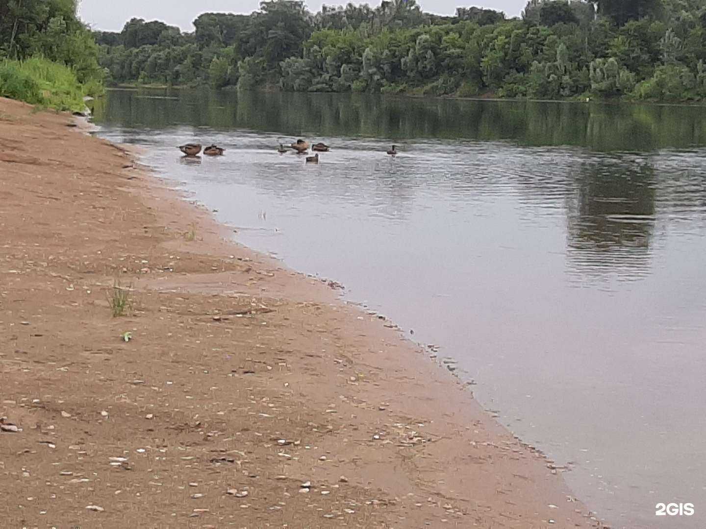 Отзывы на компанию Пляж Песчаный в г. Уфа c фото