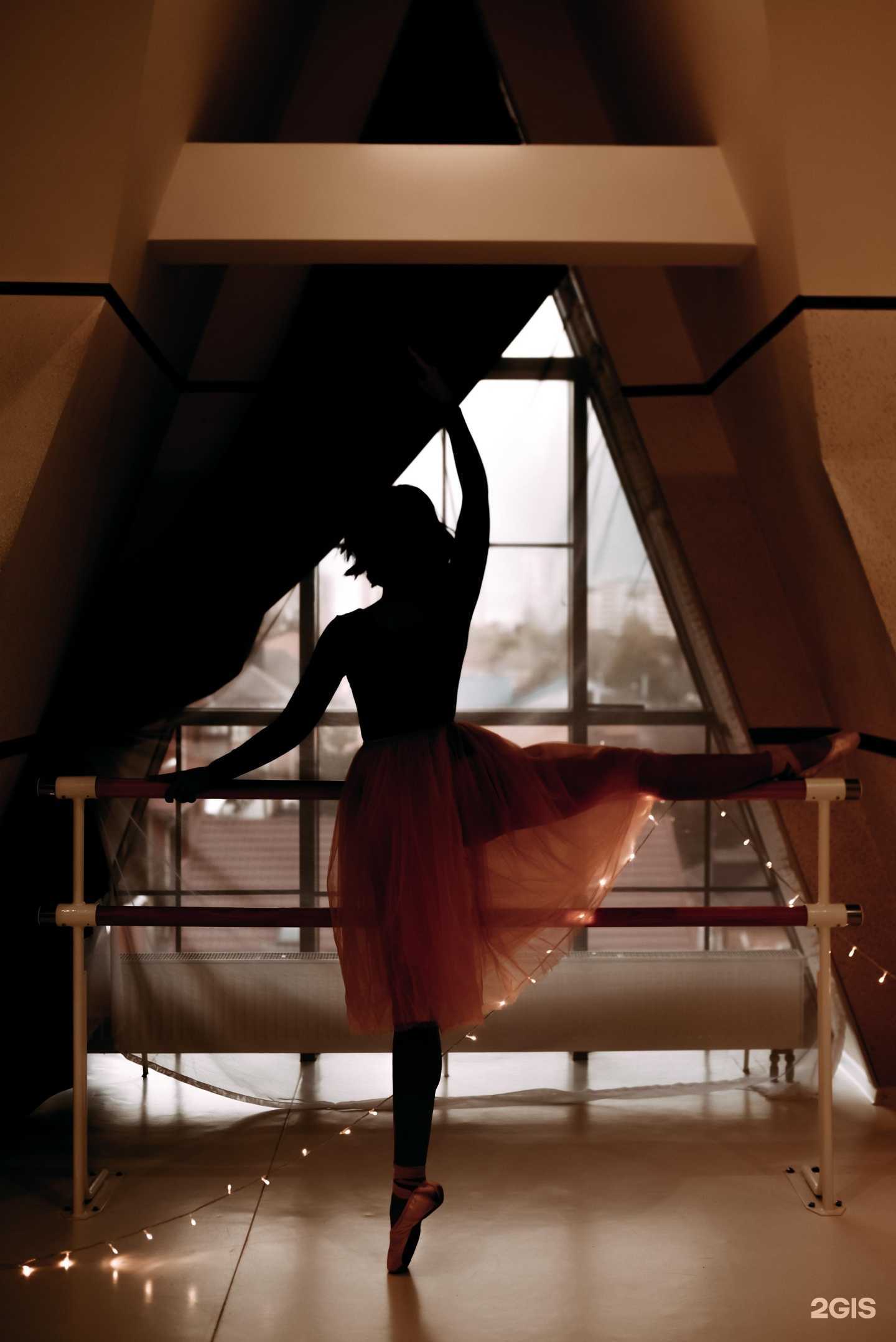 Отзывы на компанию Levita в Краснодаре c фото