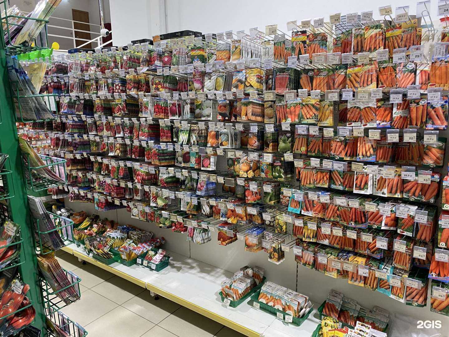 Отзывы на компанию Чиполлино в Тольятти c фото