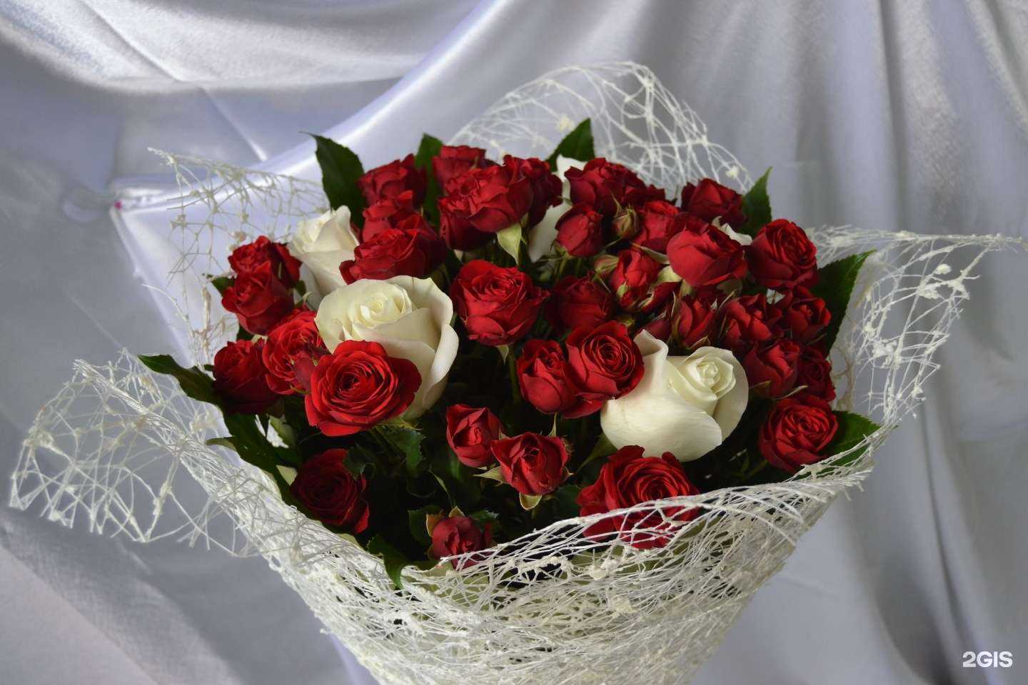 Отзывы на компанию Камелия+ в Курске c фото