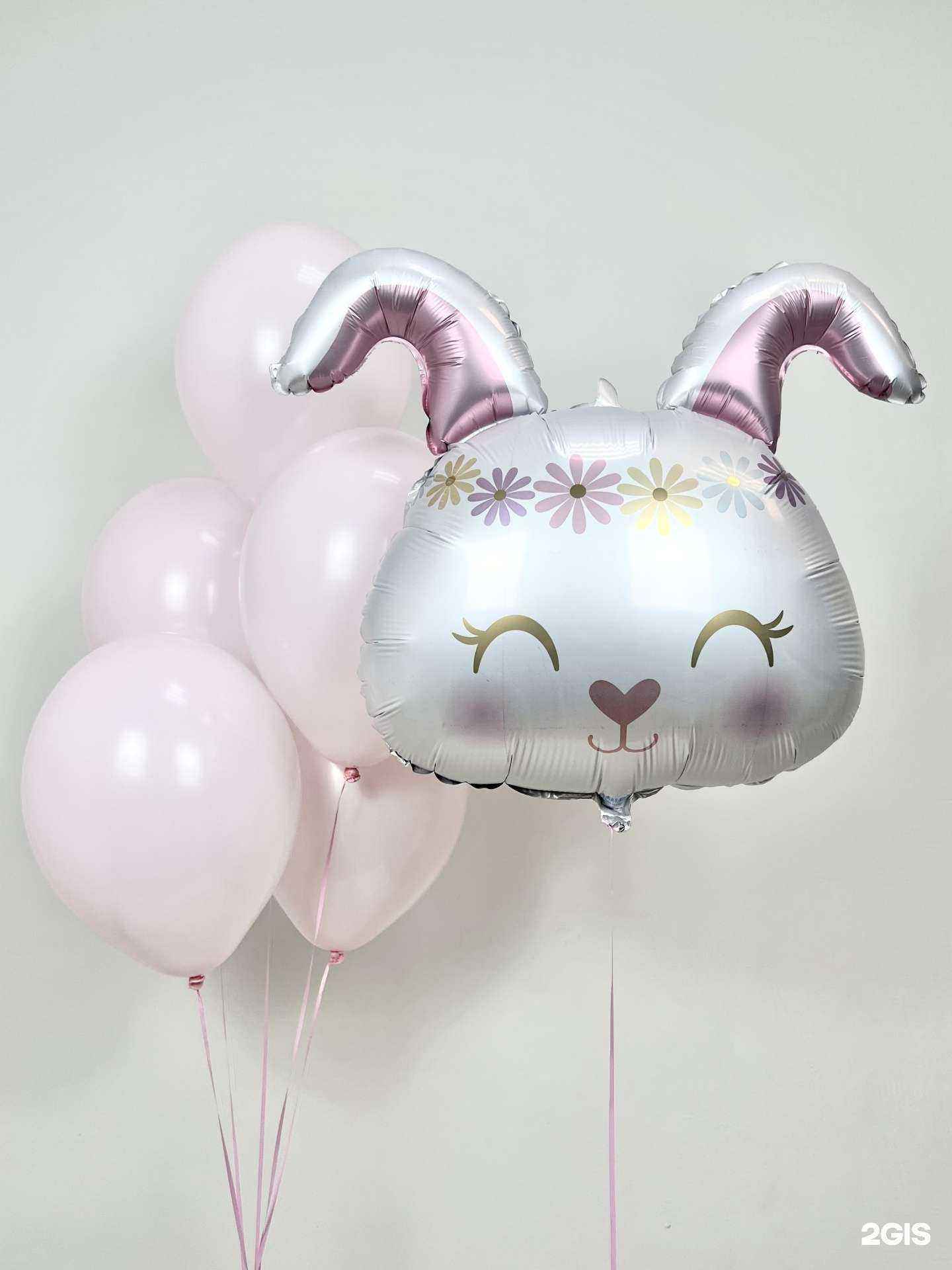 Отзывы на компанию Шарик+ в Конакове c фото