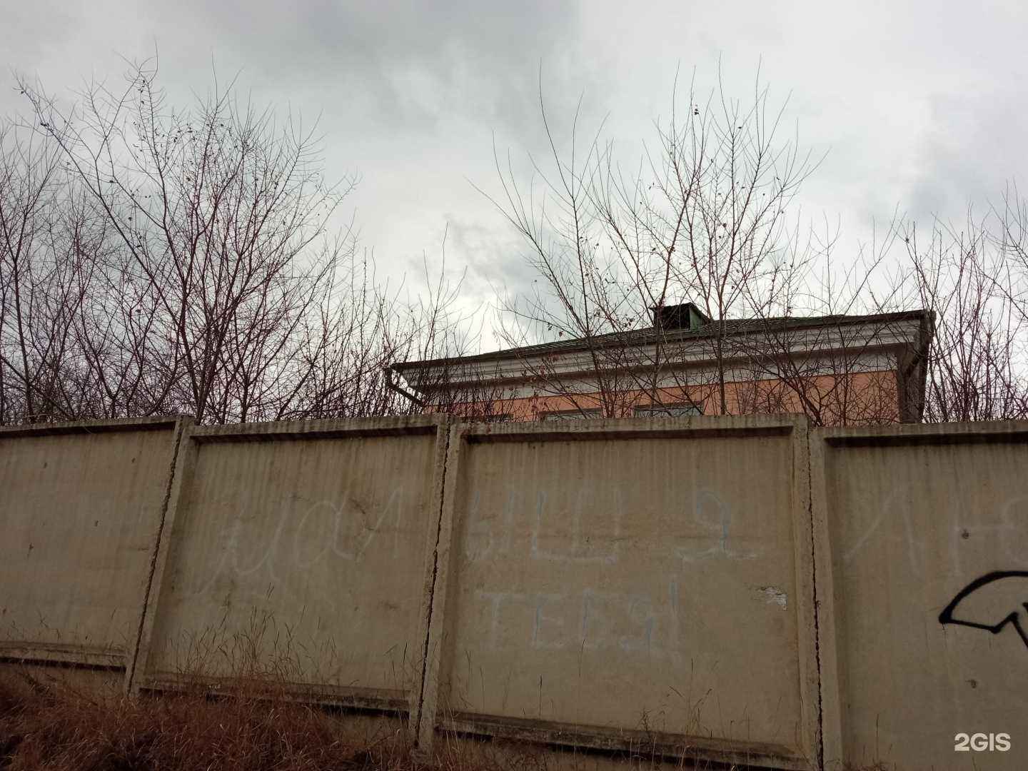 Отзывы на компанию Российское физкультурно-спортивное общество Локомотив в Чите c фото - фотография 2 из 2