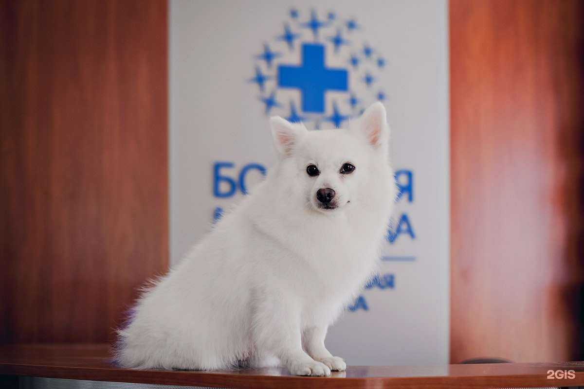 Отзывы на компанию Большая Медведица в Краснодаре c фото