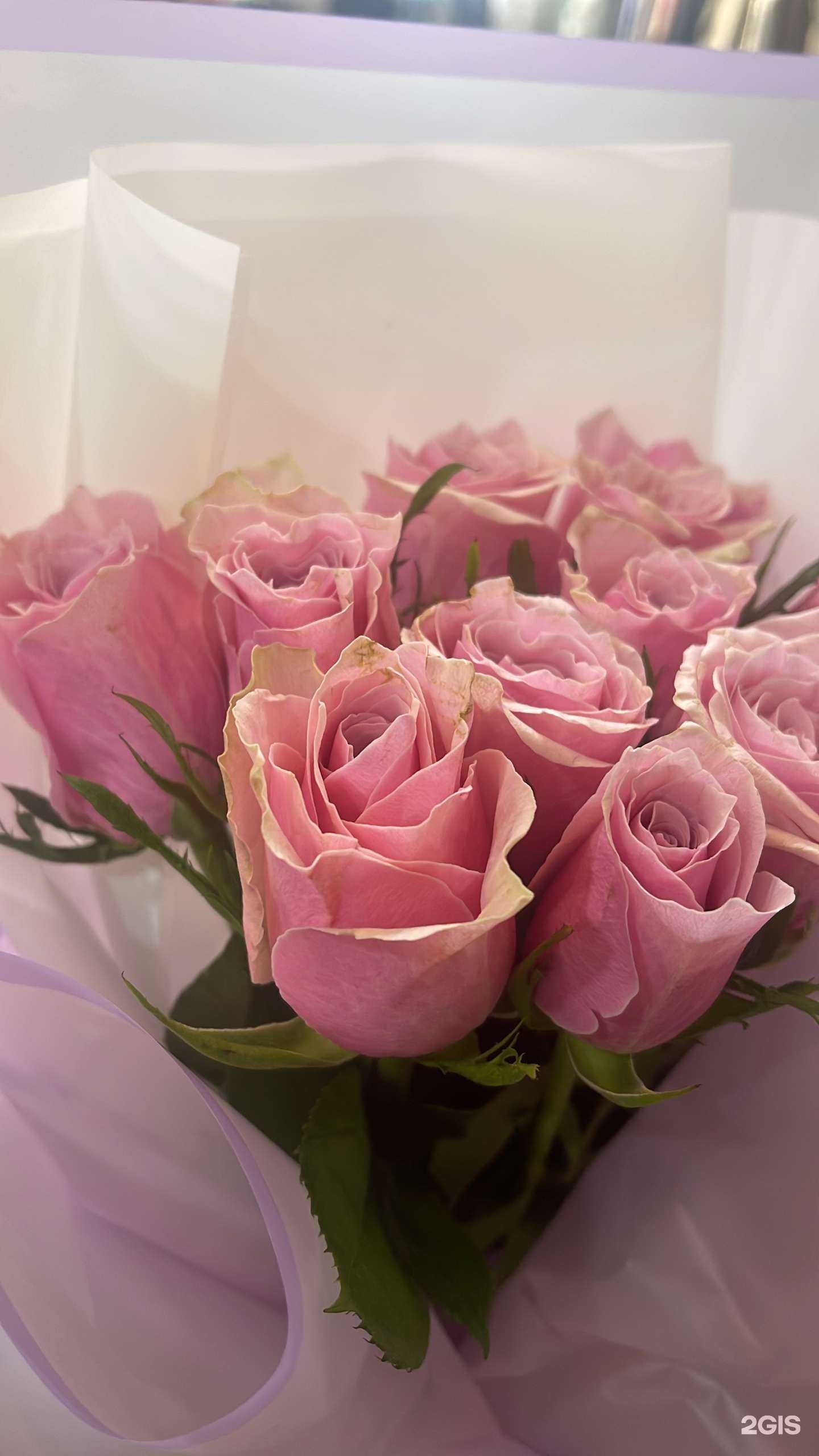 Отзывы на компанию Мы шарим в г. Сочи c фото