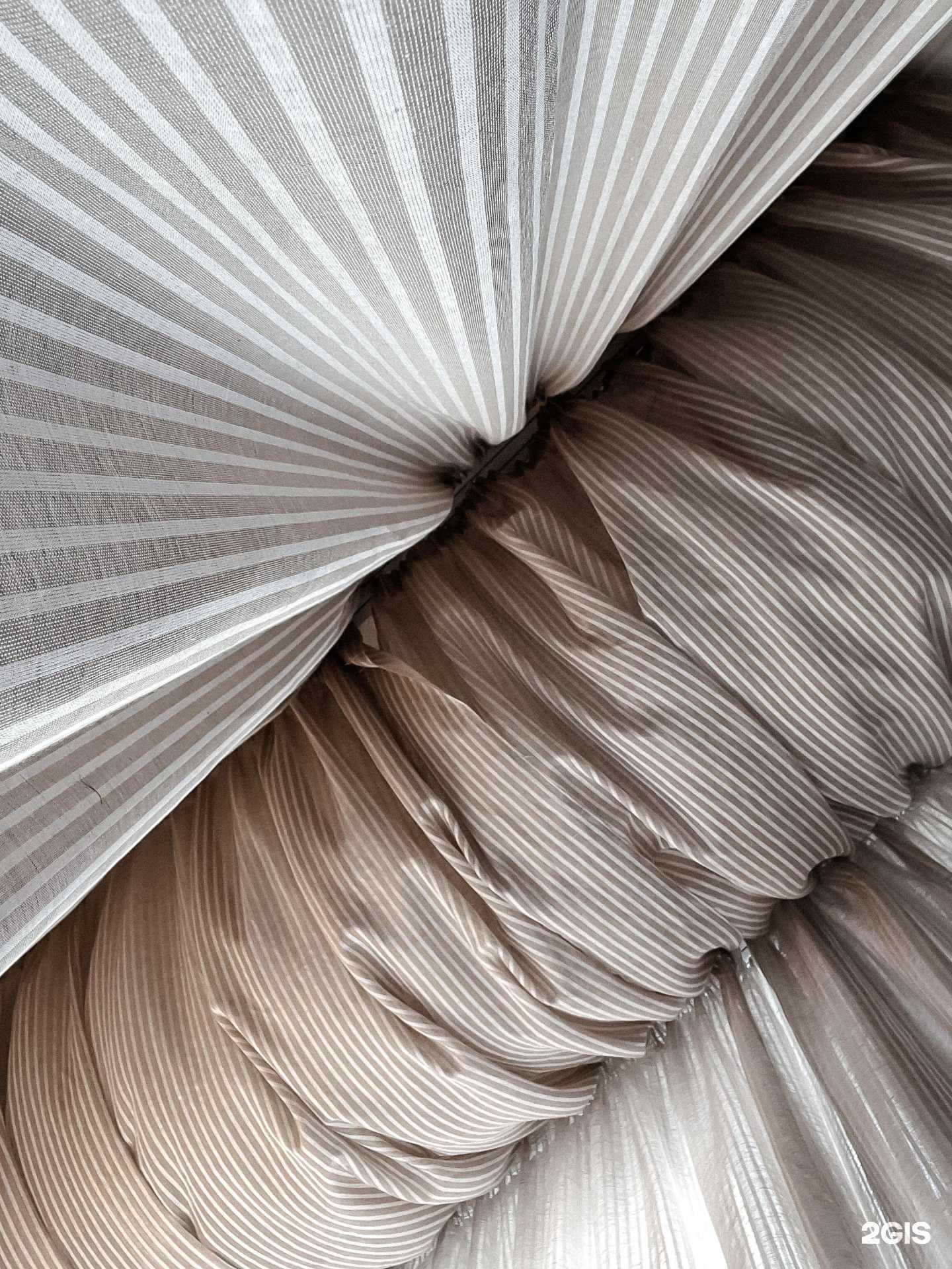 Отзывы на компанию Shamani в Новосибирске c фото