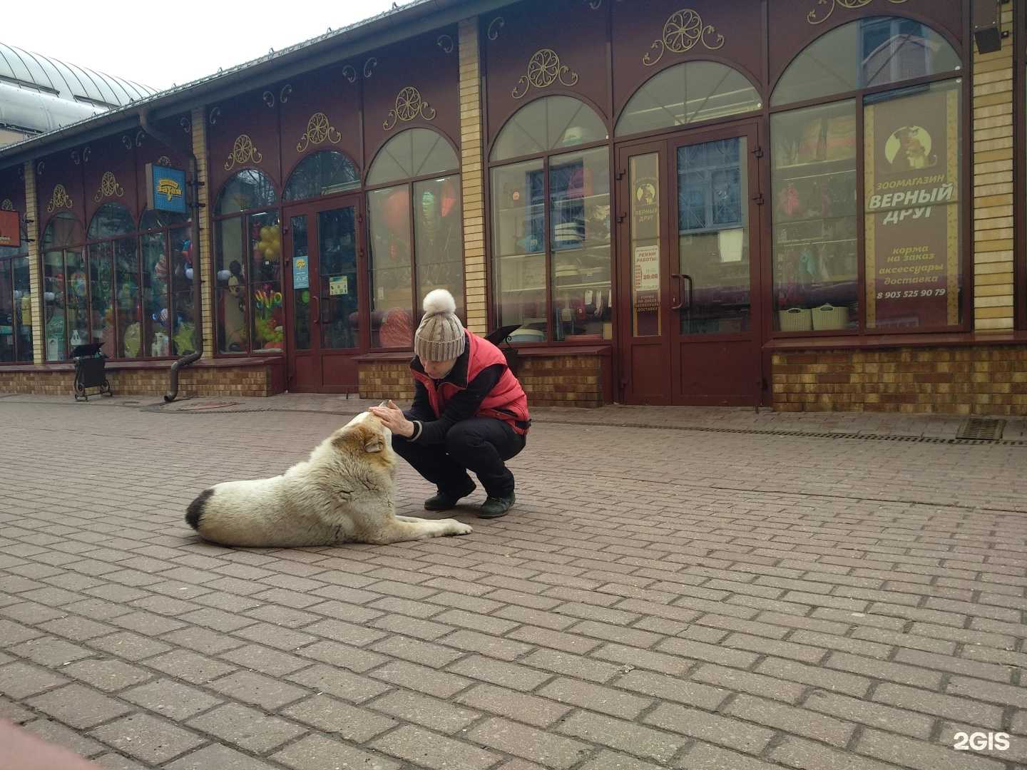 Отзывы на компанию Верный друг в Балашихе c фото