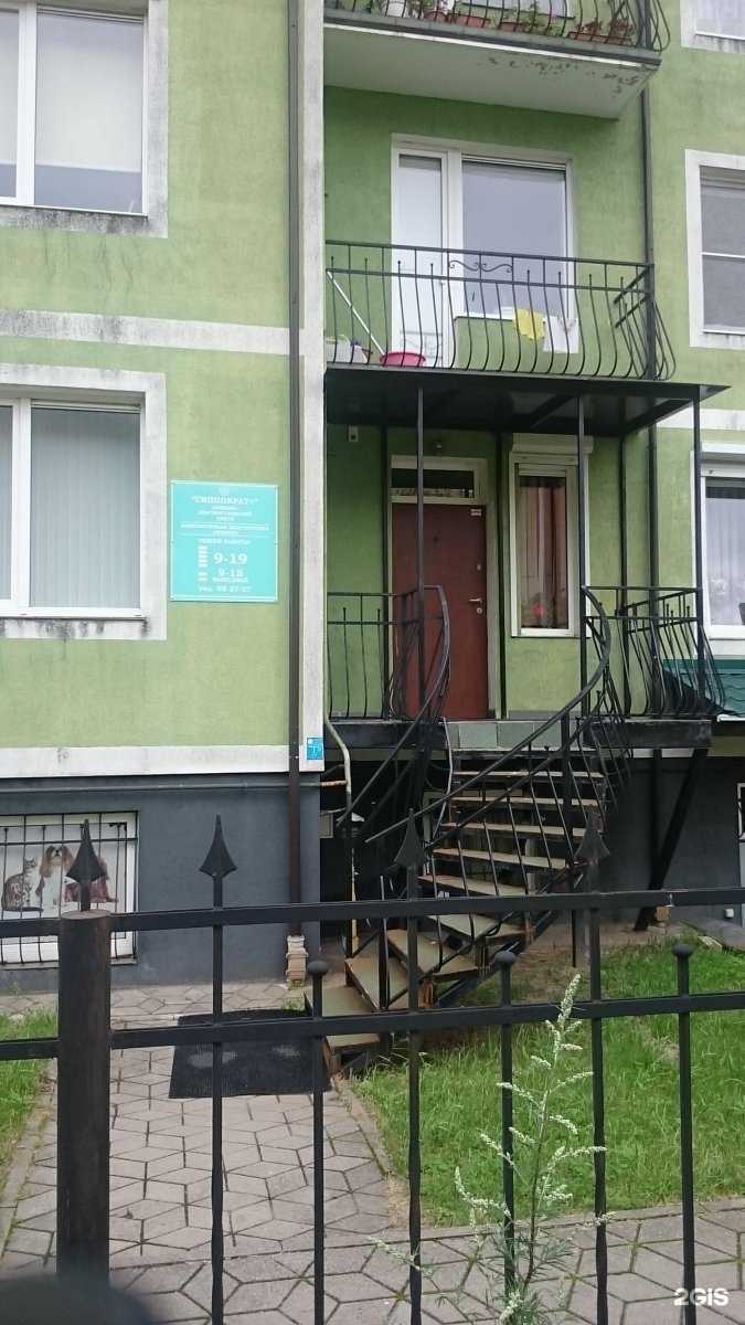 Отзывы на компанию Гиппократ плюс в г. Калининград c фото