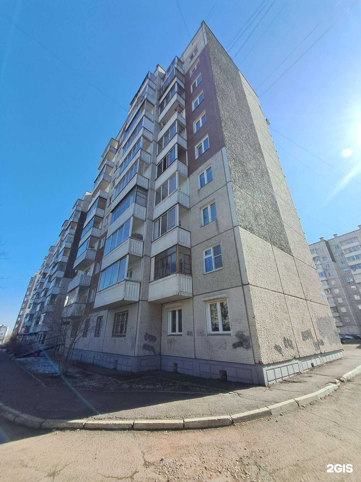 Отзывы на компанию Кот в Красноярске c фото - фотография 2 из 2