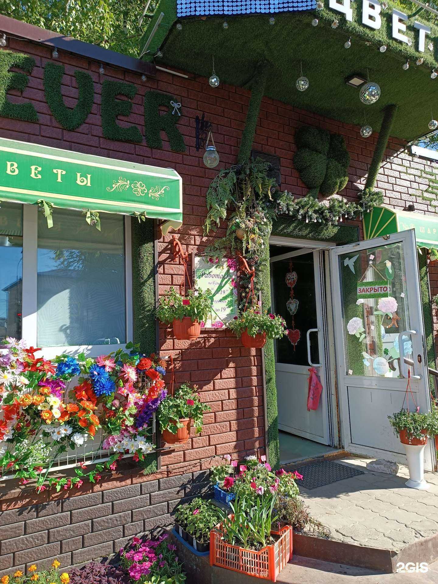 Отзывы на компанию Klever в Боре c фото