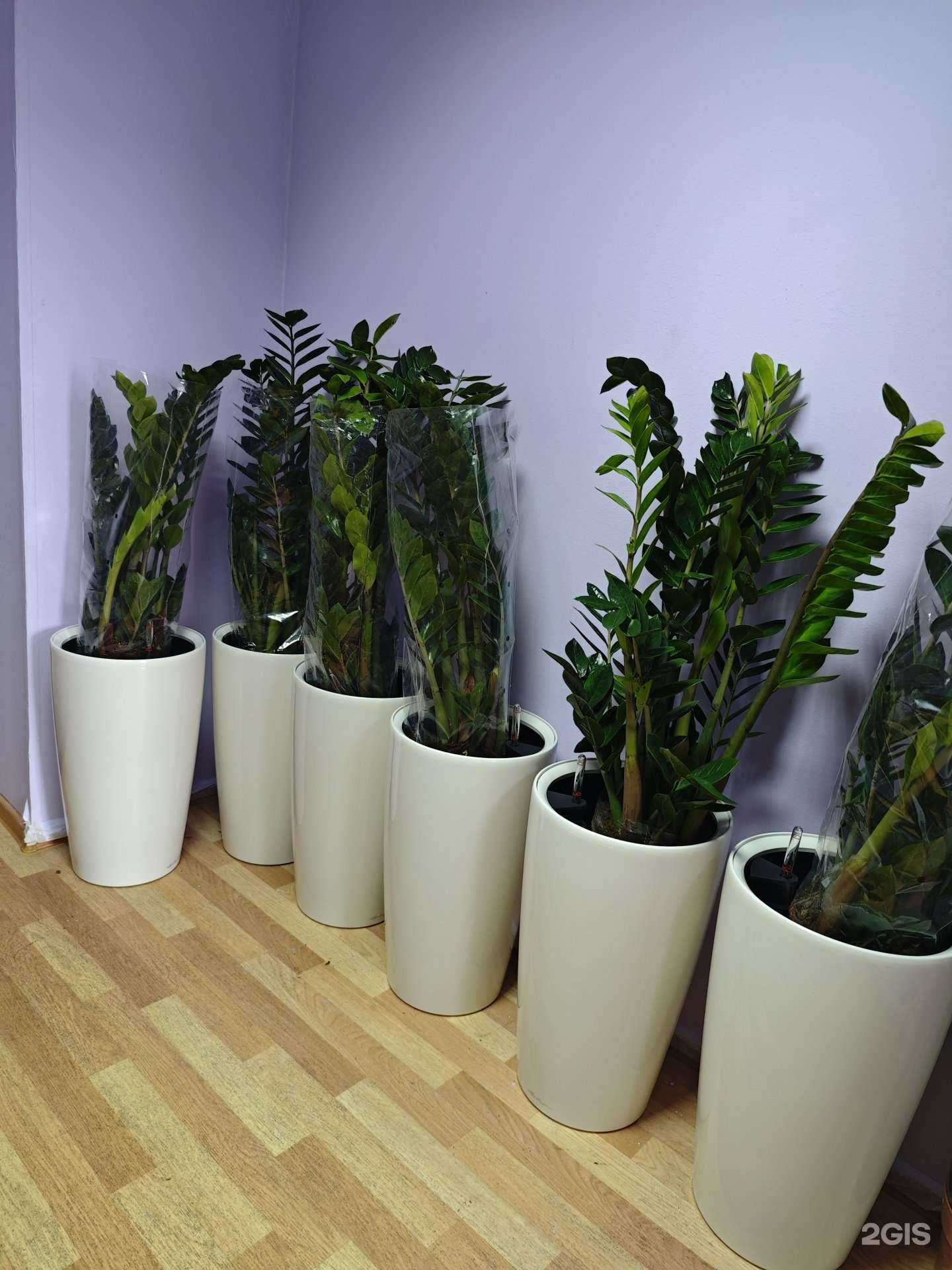 Отзывы на компанию Лиана Сахалин в Южно-Сахалинске c фото