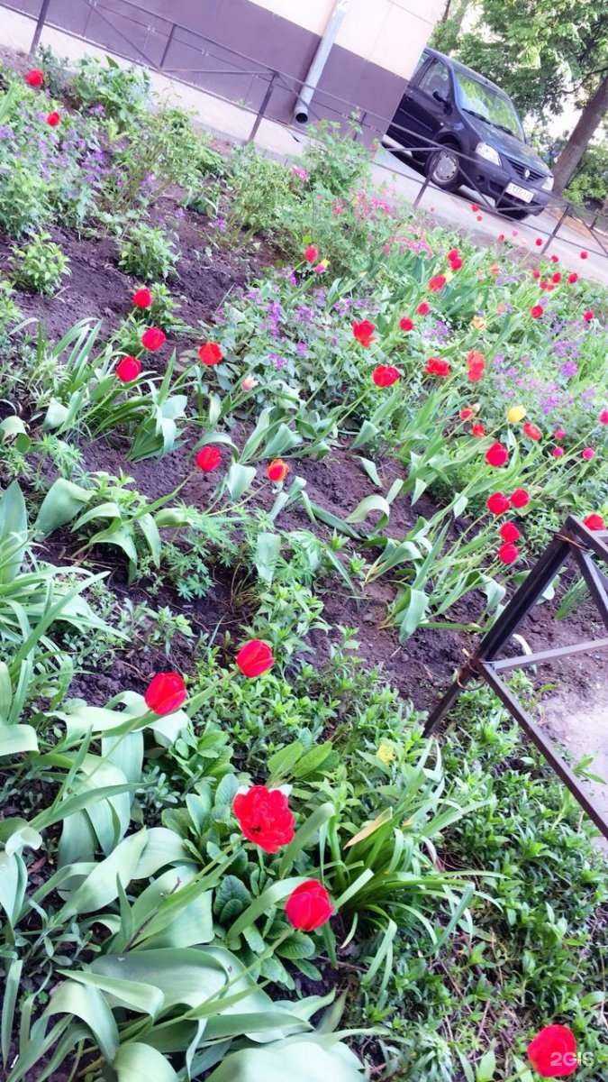 Отзывы на компанию СДЭК в Воронеже c фото - фотография 2 из 2