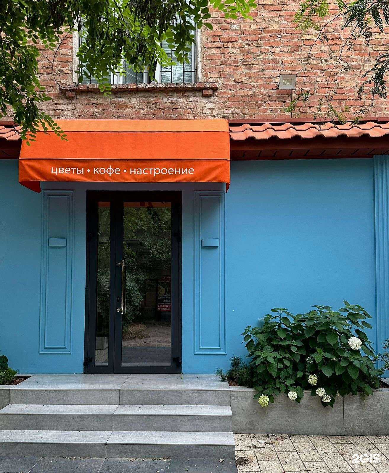 Отзывы на компанию Trava в Махачкале c фото