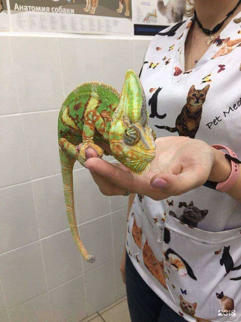 Отзывы на компанию Природа в г. Ярославль c фото