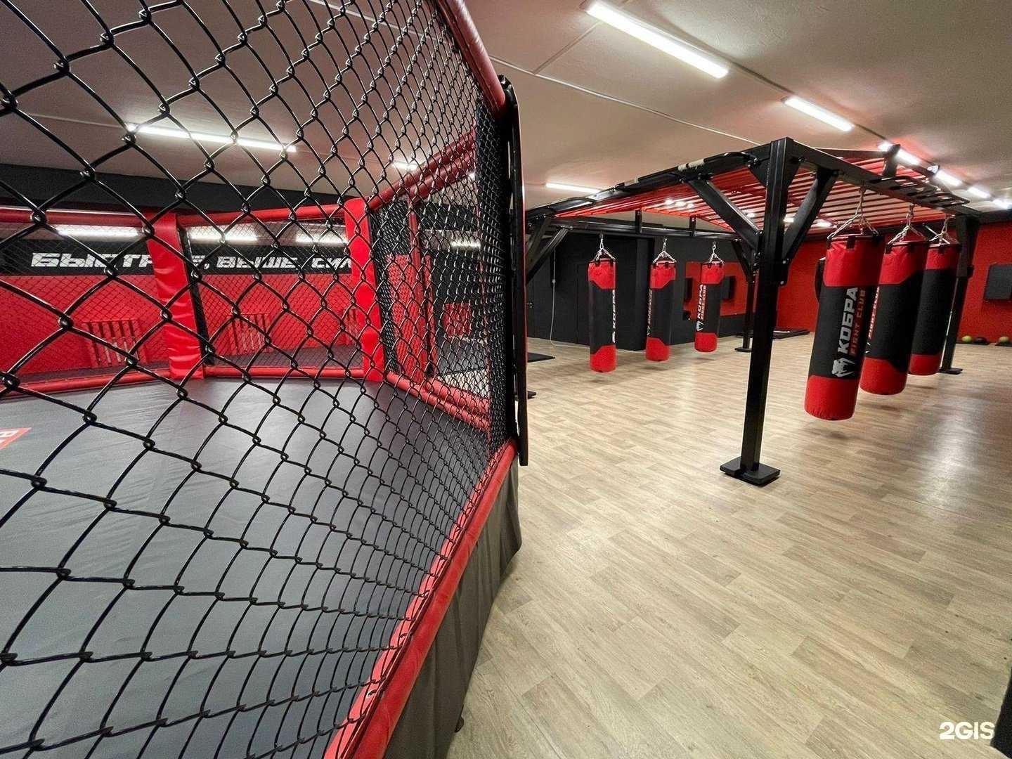 Отзывы на компанию G-fight в Новосибирске c фото