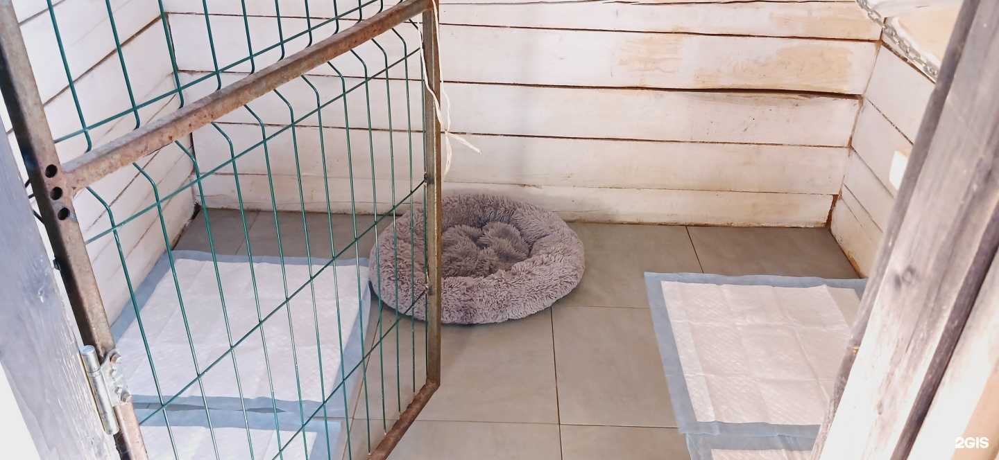 Отзывы на компанию Зоодом в Перми c фото