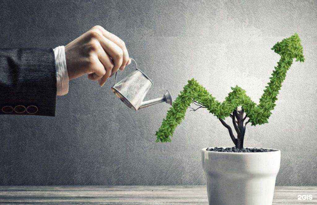 Отзывы на компанию Вэльтри в Липецке c фото