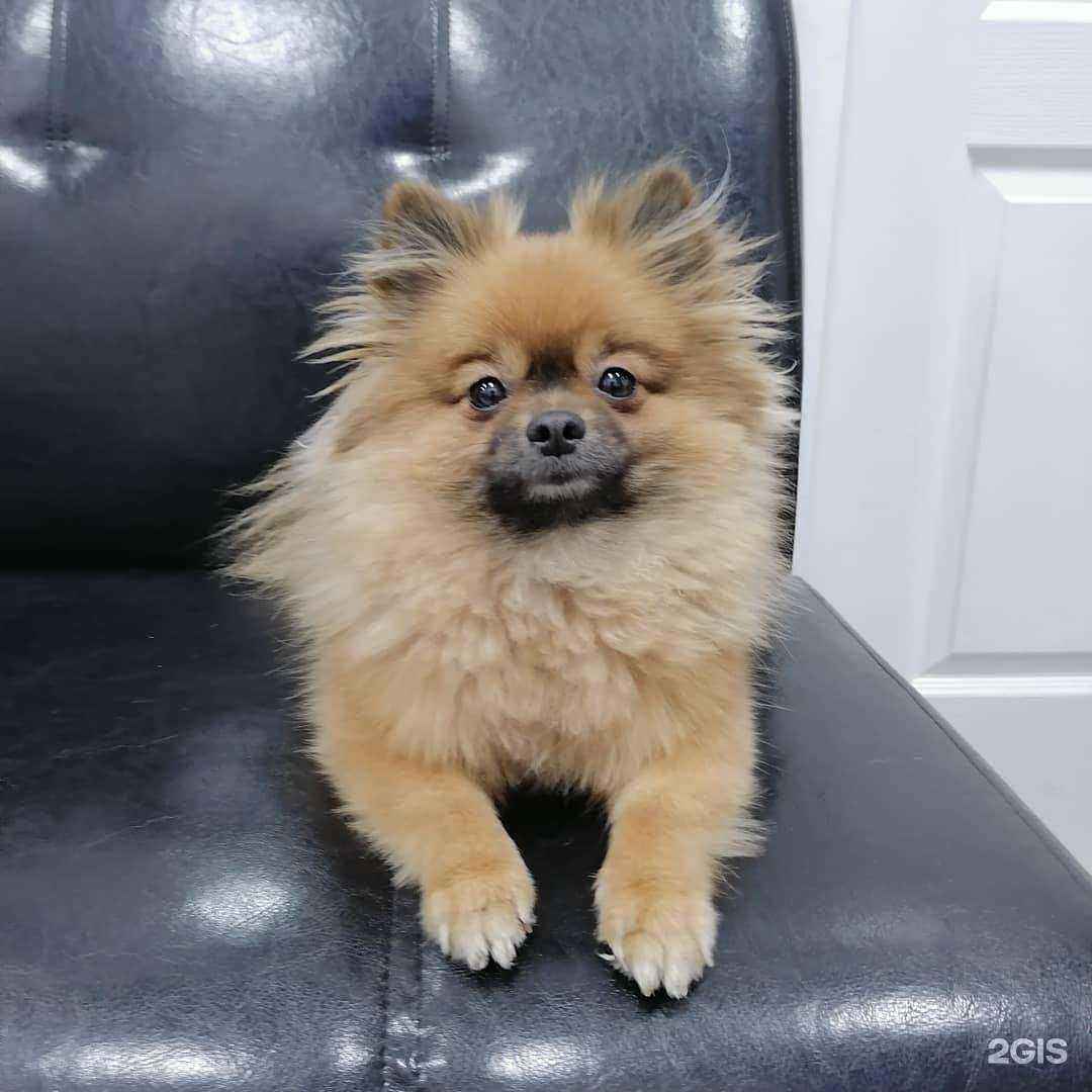 Отзывы на компанию Лиза в Ульяновске c фото