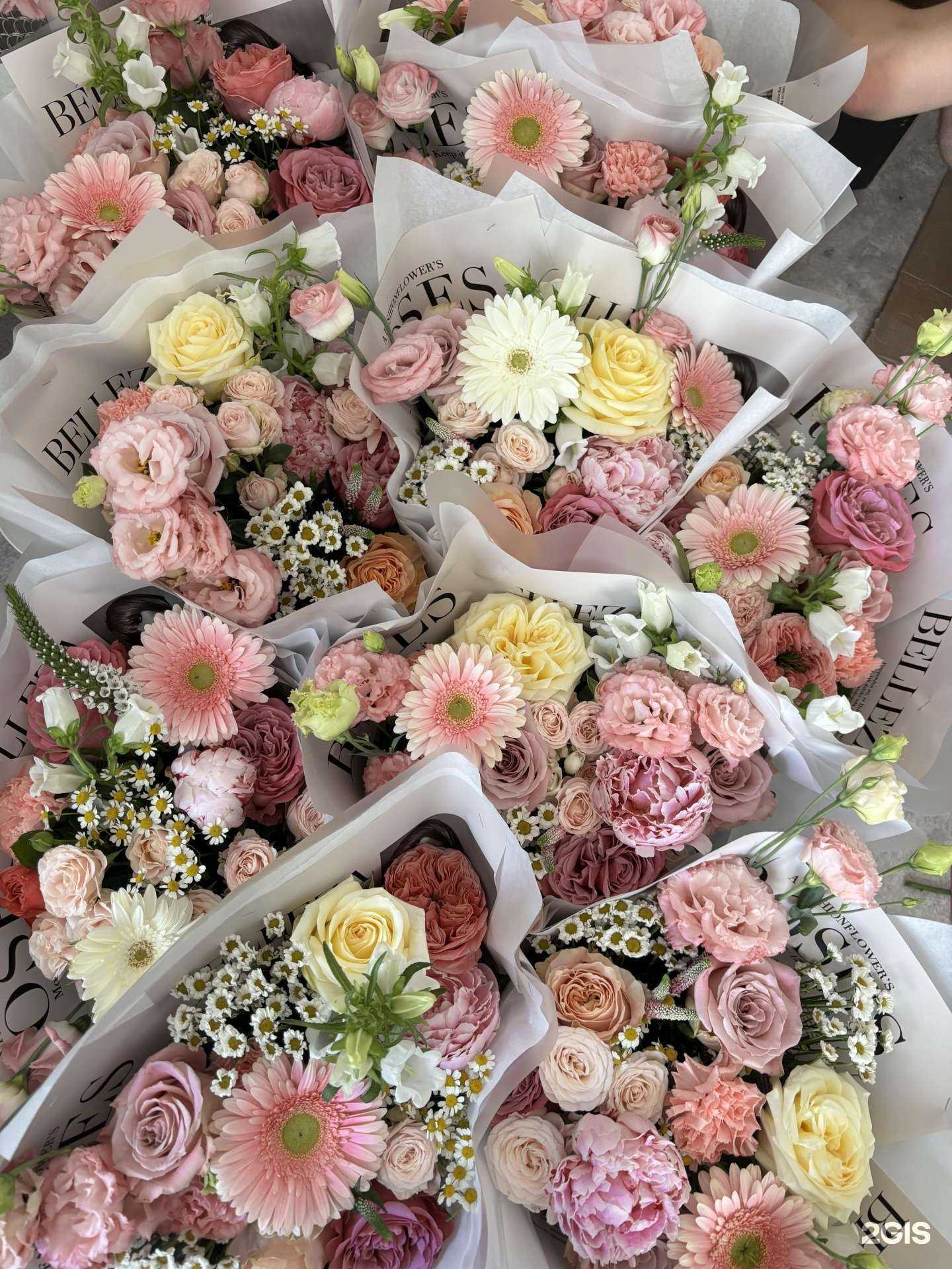 Отзывы на компанию Mono Flower brand в Нижнем Новгороде c фото