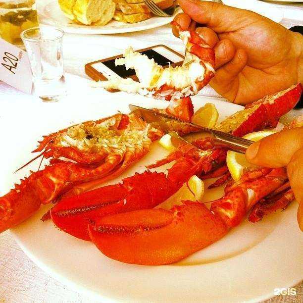 Отзывы на компанию Bella Vita в г. Екатеринбург c фото