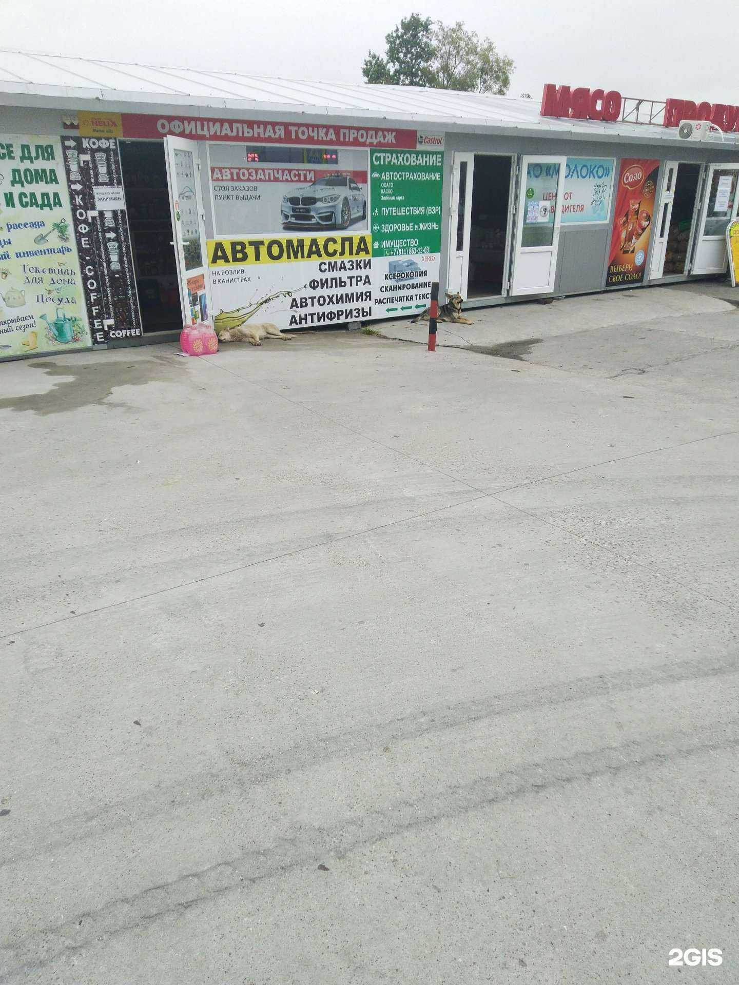 Отзывы на компанию Страховая компания в Калининграде c фото