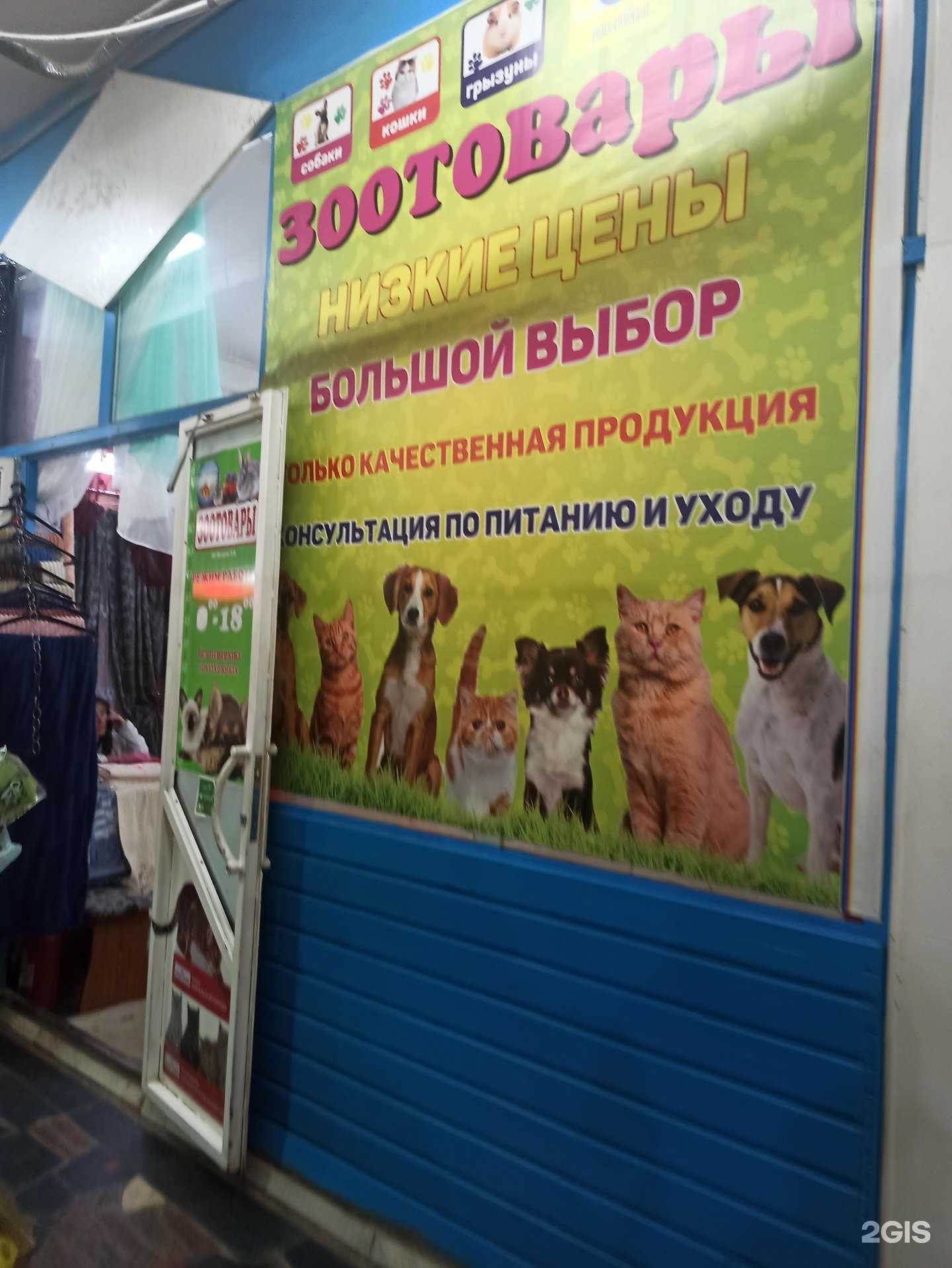 Отзывы на компанию Магазин зоотоваров в Саратове c фото