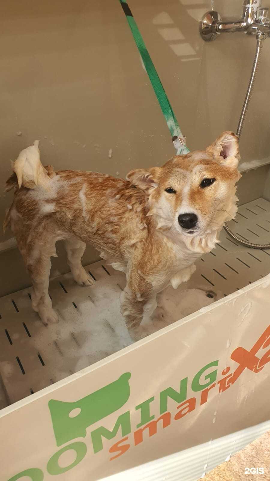 Отзывы на компанию BarberDog в г. Петропавловск-Камчатский c фото