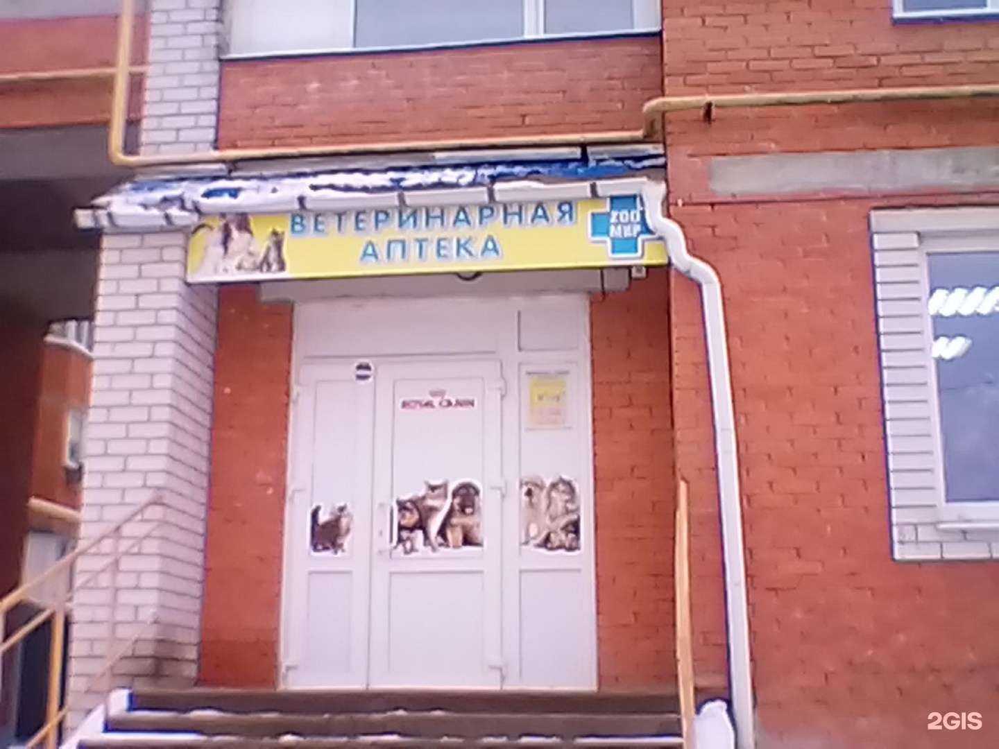 Отзывы на компанию Зоомир в Йошкар-Оле c фото