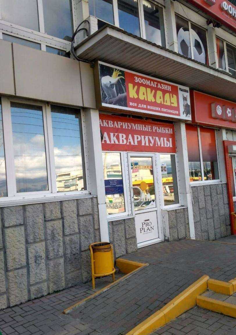 Отзывы на компанию Какаду в Новороссийске c фото